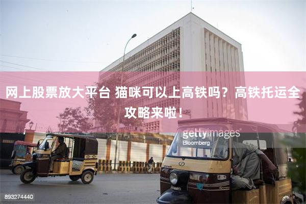 网上股票放大平台 猫咪可以上高铁吗？高铁托运全攻略来啦！