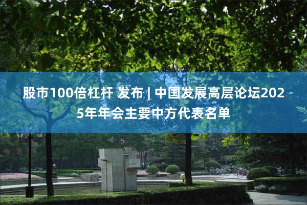 股市100倍杠杆 发布 | 中国发展高层论坛2025年年会主要中方代表名单