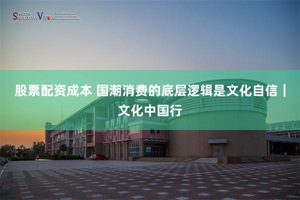 股票配资成本 国潮消费的底层逻辑是文化自信｜文化中国行
