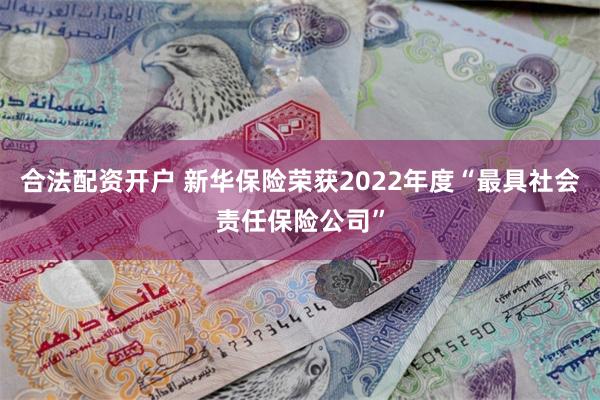 合法配资开户 新华保险荣获2022年度“最具社会责任保险公司”