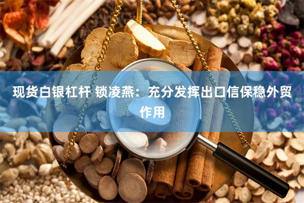 现货白银杠杆 锁凌燕：充分发挥出口信保稳外贸作用