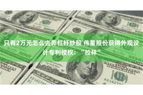只有2万元怎么去弄杠杆炒股 伟星股份获得外观设计专利授权：“拉袢”