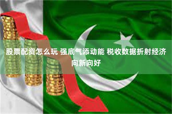 股票配资怎么玩 强底气添动能 税收数据折射经济向新向好