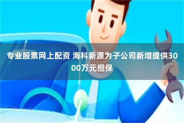 专业股票网上配资 海科新源为子公司新增提供3000万元担保