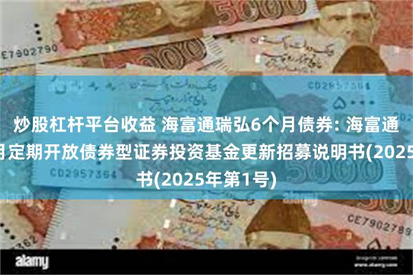 炒股杠杆平台收益 海富通瑞弘6个月债券: 海富通瑞弘6个月定期开放债券型证券投资基金更新招募说明书(2025年第1号)