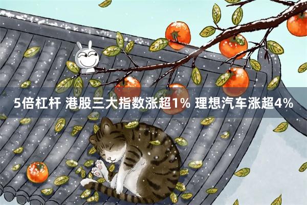 5倍杠杆 港股三大指数涨超1% 理想汽车涨超4%