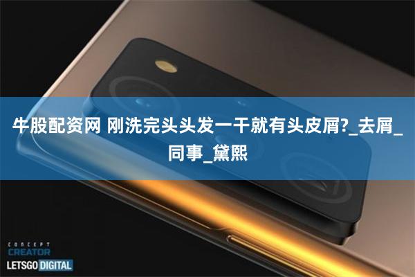 牛股配资网 刚洗完头头发一干就有头皮屑?_去屑_同事_黛熙